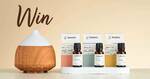 Win 1 of 3 Aromatherapy Packs Worth $91 and a $200 VISA Card from Bosito's