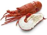 Woolworths Cooked Thawed Small Rock Lobster Each $24 @ Woolworths