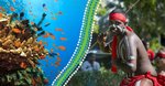 Win a Trip for 2 to The Cairns Indigenous Art Fair (CIAF) 2016 Worth $2,300