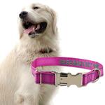 Personalized Metal Buckle Dog Collar: US $9.50 (~AU $14.50) + Free Shipping @ Spiffytags