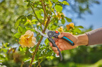 Win a Gardena Cutting Range Pack Valued at $563.96 at Gardening Australia