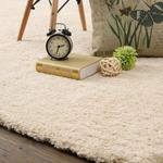 Shaggy Floor Rugs 25% off. Price from $89.99 (Free Postage to NSW, VIC, SA) @ Rug Australia