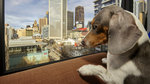 Win a Doggy Holiday, Family Passes to 91-Storey Treehouse or Tickets to War Horse [Prizes Are in Melbourne/No Travel]