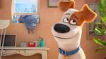 Win 1 of 20 The Secret Life of Pets Prize Packs (Family Movie Pass, Lunchbox, Stationery Set) from The Leader (VIC)