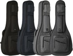 Basiner Acoustic Guitar Case - $349 (Was $399) Plus FREE SHIPPING @Gsus4