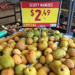 [NSW] Scuffy Mangoes $2.49 Per Kilo / San Pellegerino Orange 6 Pack $1.50 @ Harris Farm, Manly