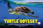 Win a Family Pass to 'Turtle Odyssey 3D' at IMAX Melbourne + a Family Entry Pass to The Melbourne Museum from The Party Bebe