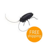 Cute Solar-Powered Cockroach AUD $0.48 Shipped, 50 Uses Only @BestOfferBuy.com