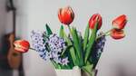 Any Flowers under $30: Free with Coupon + Delivery & Service Fees (5000 Claims Available) @ DoorDash & Coles Partnership