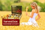 $9 for 3 Customised Healthy Natural Snack Boxes Delivered Free to Your Desk from Harvest Box