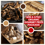Win The Ultimate Organic Gourmet Mushroom Prize Package worth over $750 from Vkind
