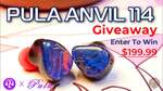 Win PULA Anvil 114 Earphones from Gears