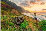Jetstar: Sydney Direct to Honolulu, Hawaii from $460 Return [Jul-Sep] @ Beat That Flight