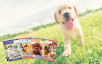 Win a Subscription to DOGSLife Magazine Worth $35 from DOGSLife