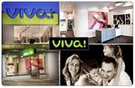 $19 for a 2 Hour Lifestyle Photography with Award-Winning VIVA Photography (VIC)