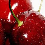 Cherry Picking in Victoria, Seville Farm - Free Entry, $8/Kg