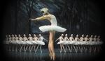 Win 1 of 20 ‘A’ Reserve Double Passes to Swan Lake Worth $198 from The Daily Telegraph [NSW]