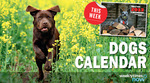 Free 2013 Dogs Calendar with The Weekly Times ($1.70 Cover Price)