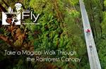 Unforgettable Journey through The Otway Fly Treetop Walk – Just $10 Normally $22 [Vic]