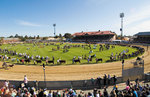 Win 1 of 5 Family Passes to The Royal Adelaide Show from Mix 102.3 (SA)