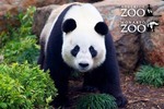 12 Month Zoos SA Membership - Save up to 50% from Scoopon. Valid for Use from 1 June 2017