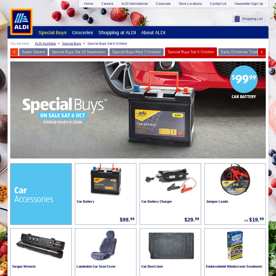 06 10 car battery
