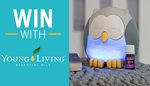 Win 1 of 2 Young Living Feather the Owl Kids Diffuser & 5ml Lavender Essential Oil Packs Worth $107.25 from Seven Network