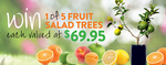 Win 1 of 5 Fruit Salad Trees valued at $69.95 from Next Media