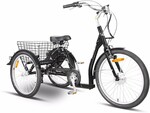 Progear E-Free 24" Electric 250w Adult Trike Grey with Walk Mode $379 + Delivery @ Global Fitness, Bunnings Marketplace