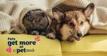 Join Petstock Rewards, Link your Frequent Flyer details, Earn 250 Bonus Qantas Points (No Purchase Required)