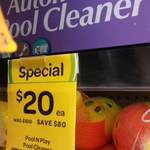 $20 Pool Cleaner was $100 @Woolworths In Store 
