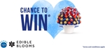 Win an Edible Blooms Chocolate Bouquet Worth $255 from Canstar Blue