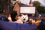 Win 1 of 210 AmEx Open Air Cinema Double Passes from Junkee Media/Amazon [NSW/SA/VIC]