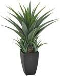 Artificial Agave in Pot 73cm $94.95 + $19.95 Flat Rate Shipping @ Aussie Artificial Plants