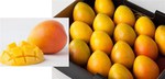 Win 1 of 10 Trays of Australian Mangoes from LifeStyle