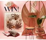 Win 1 of 24 Prizes from Homes to Love
