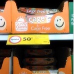 12x Cage Free Eggs $0.50 @ Coles (Anzac Highway, SA)