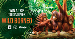 Win an Adventure Expedition in Borneo for 2 Worth $8,600 or 1 of 10 Prize Packs from WWF Australia