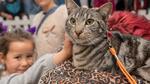 Win 1 of 10 Passes to The Cat Lovers Show + a Trouble & Trix Litter Hamper Worth $240 [VIC - Leader Newspaper Suburb Residents]