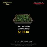 [VIC] Hass Avocados $5 for Tray of 10kg Avocados @ Henrys Mercato (Stud Park)