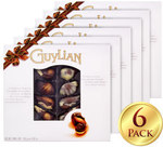 6x Guylian Belgian Chocolate Seashells 250g $43.94 Delivered from COTD