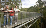 RACV 48 Hr Sale - Adults @ Kids Prices - Otway Fly Treetop Walk and Three Others