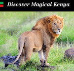 Win a Trip to Kenya for 2 Inc Flights, Accomodation, Safari