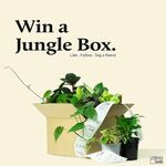 Win 8 Mixed Indoor Plants Delivered (Worth $89) from Urban Lush