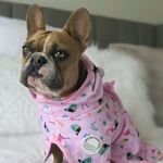 15% off Dog Drying Robes from $46-$62 (Extra 10% off with Promo Code) + $8.50/$6.50 Postage ($0 with $100 Spend) @ Stylish Hound