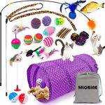 Cat Toy, 29 Pcs in 1 Assorted Cat Tunnel Catnip Fish Feather Teaser Wand $18.99 + Delivery ($0 with Prime/$39 Spend) @ Amazon AU