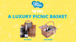Win a Deluxe 4 Person Wicker Picnic Basket and a Picnic Blanket Worth $220 from Dishmatic