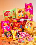 Win Japanese Autumn Snacks from Japan Candy Box