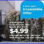 IKEA Borrby Lantern $4.99 (Save $15) Starts 28/11 (NSW/VIC/QLD)