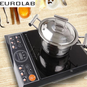 eurolab induction cooker